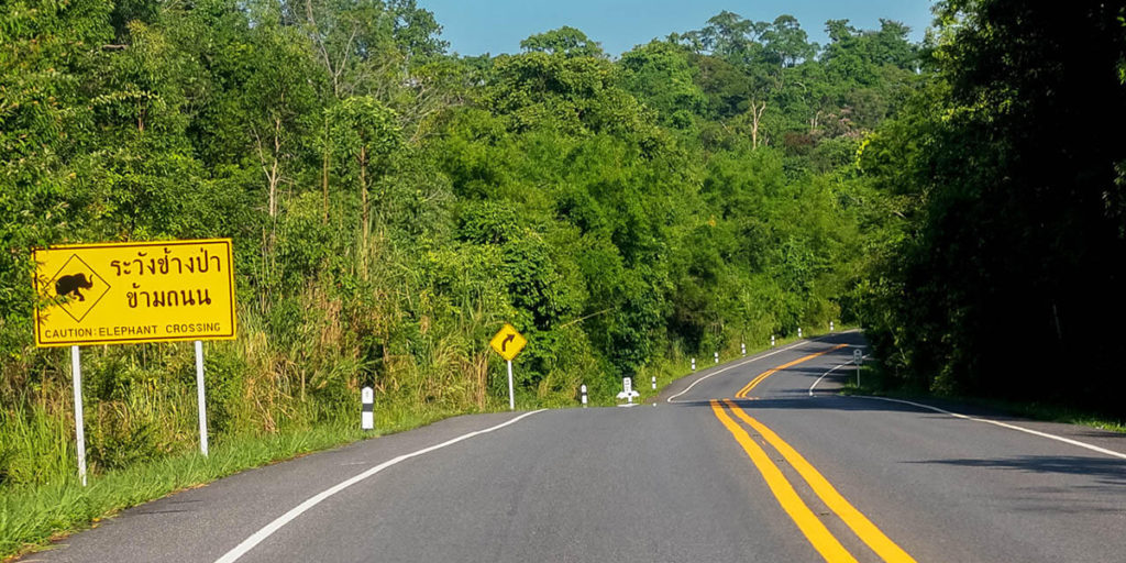 Comment conduire en Thaïlande avec mon permis français? Thai Translation